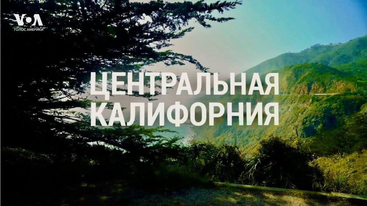 Центральная КАЛИФОРНИЯ: от виноделов до морских слонов