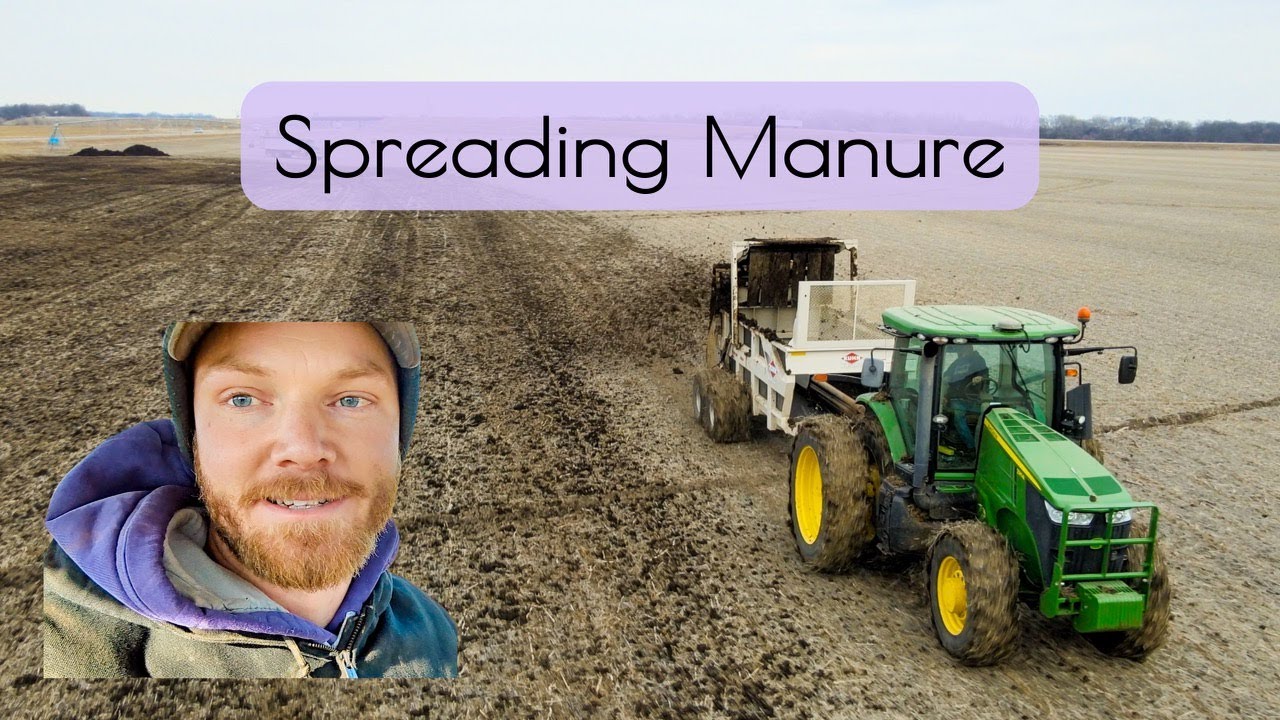 Time to Fling Some Poo