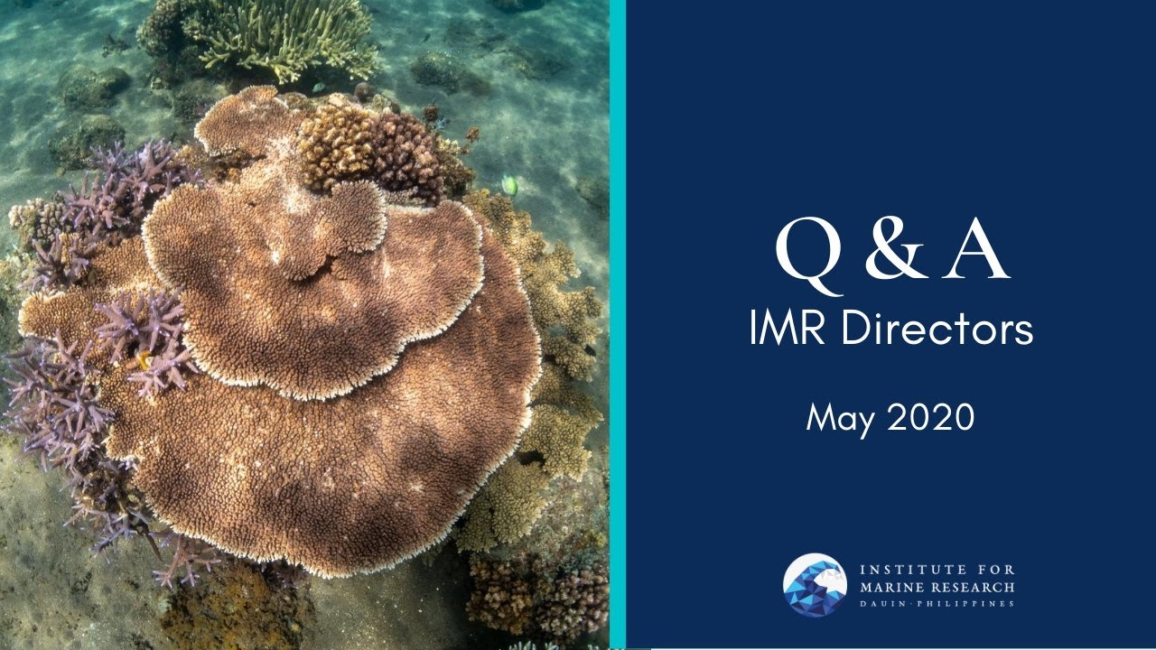 Update: May 2020 - Q&A with IMR Directors