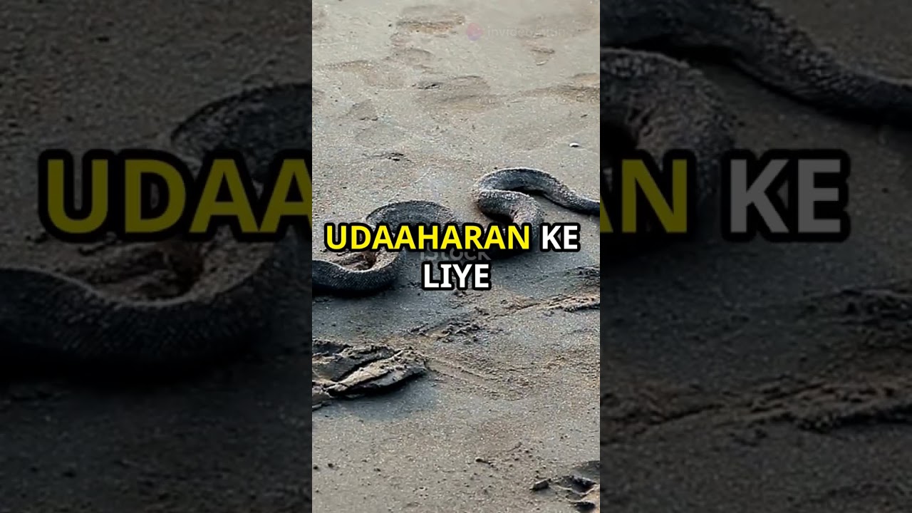 #shorts #viralshorts #youtube #snake #hrinfo har saal snake se marne wali numbers