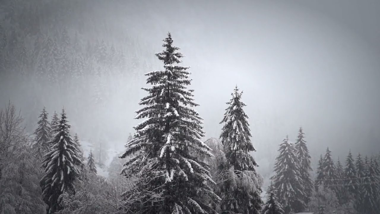 amazing view | natural view |natur seen, kudarati seen.