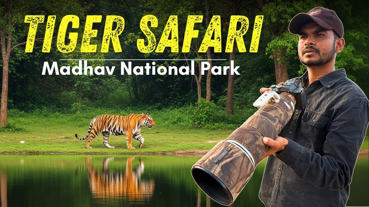 Did we See Tiger in Madhav Tiger Reserve? | Tiger Safari in Madhav National Park