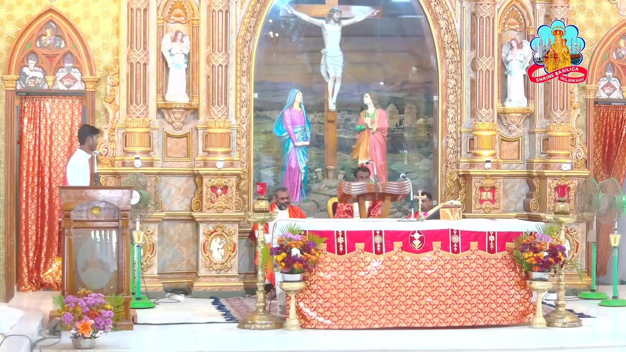 🔴 Live 06 February 2026 @ Vailankanni Shrine Basilica