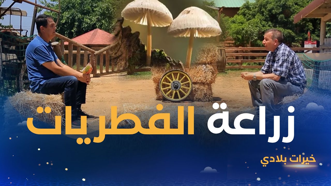 خيـــــرات بلادي | زراعة الفطريـــــــات