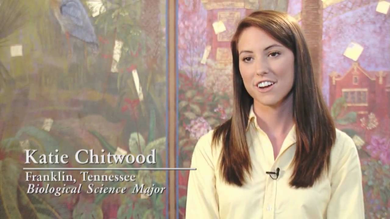 Florida State University: Honors Opportunities