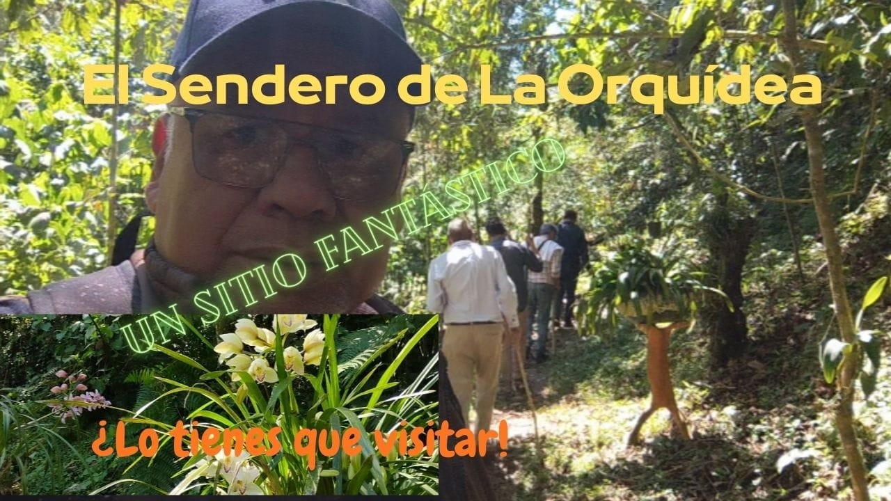 El sendero de la orquídea en Coatepec; un sitio fantástico.