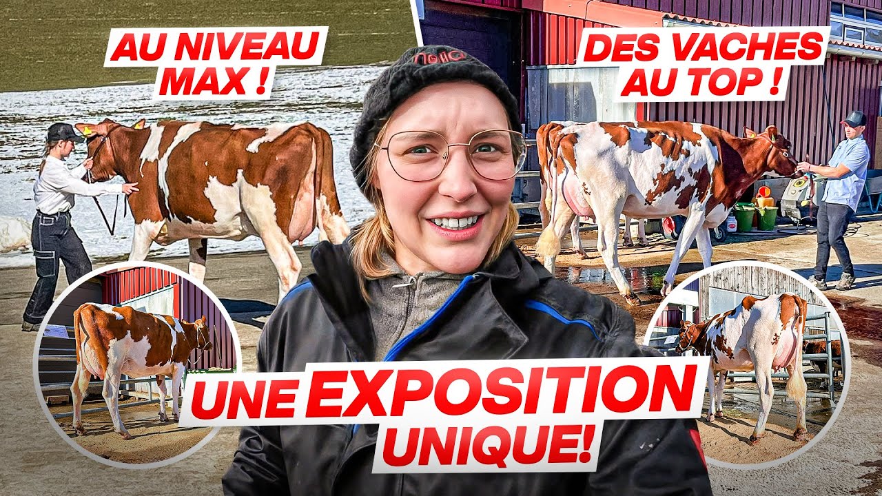 Vlog Coupe Des Eleveurs 2026 !