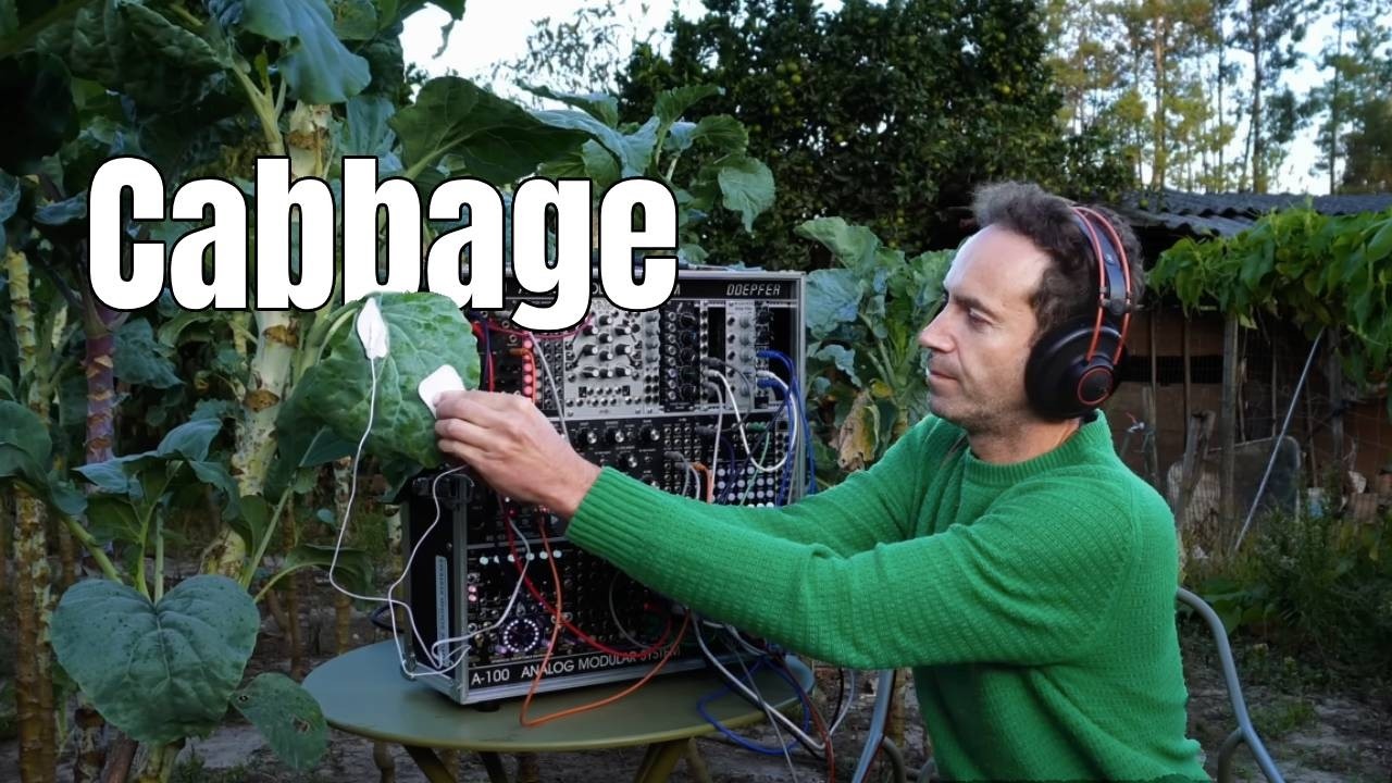 Cabbage, Theta Waves & Deep Relaxation: The Science of Chill