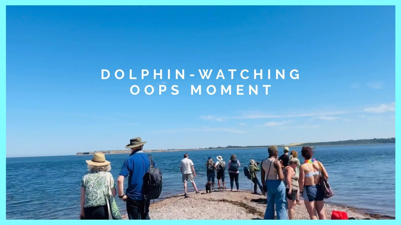 Dolphin-Watching Oops MOMENT