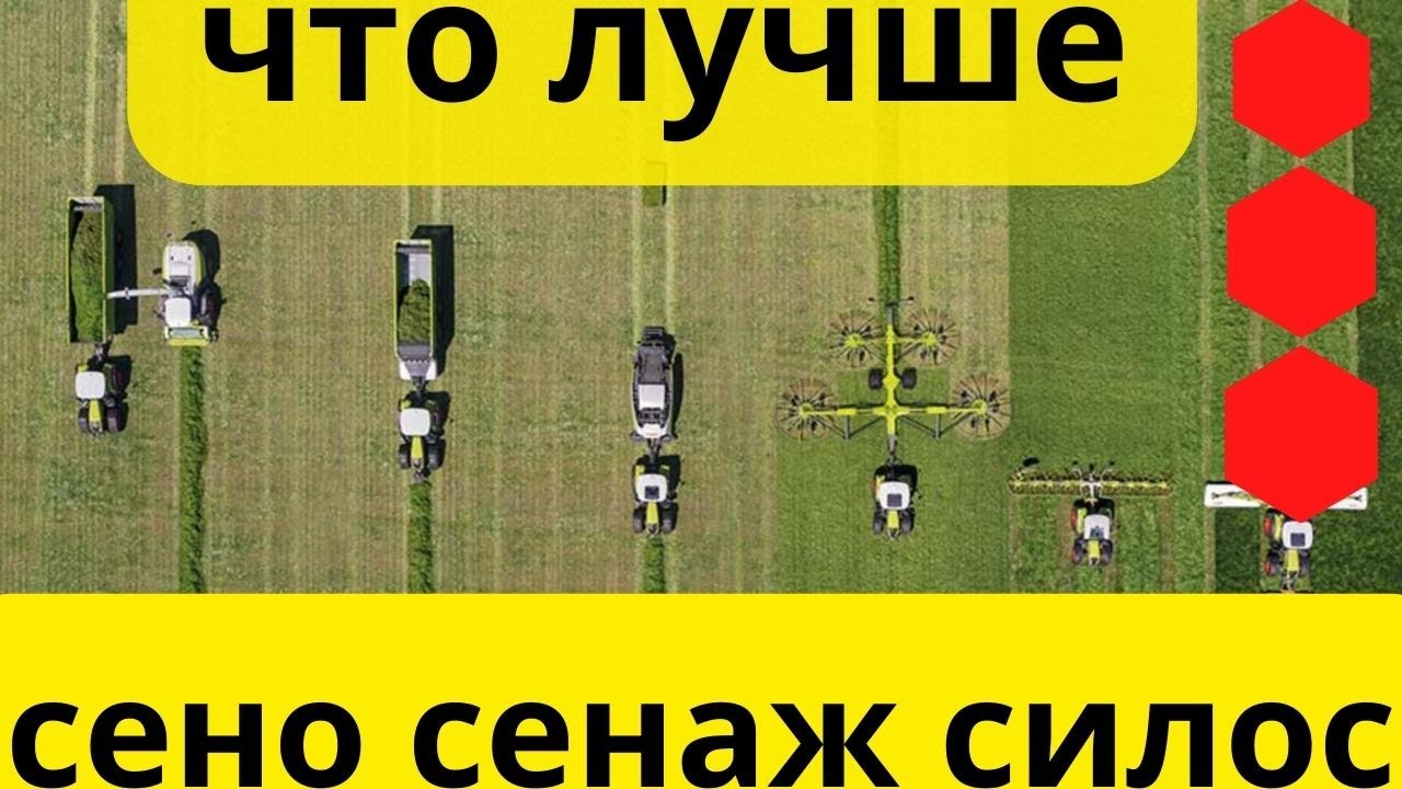 Сено Сенаж или Силос что лучше?