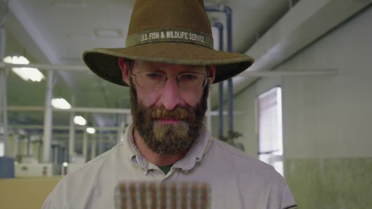 Ennis National Fish Hatchery in Southwest Montana UHD