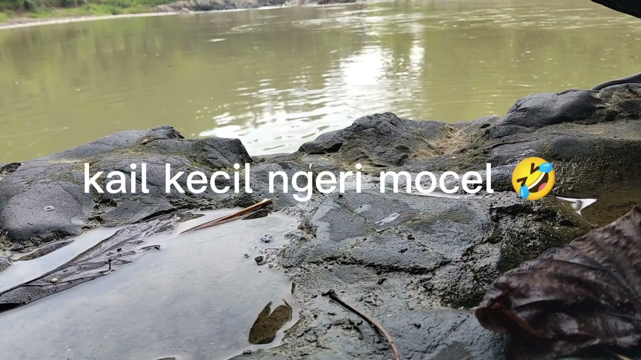 MANCING LIAR PART 3 AKANKAH BABON NAIK?