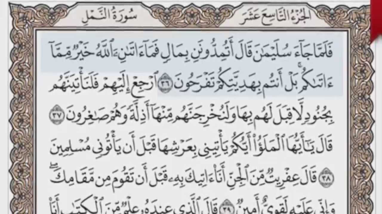 القرآن الكريم بالصفحات صوت وصورة ص/ 380 الشيخ محمود خليل الحصري بمد المنفصل
