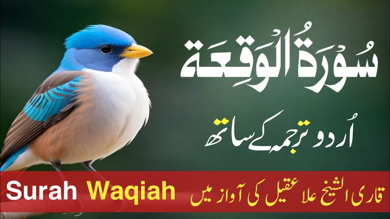 Surah Al-Waqiah With Urdu & Hindi Translation | Qari Shaikh Alaa Aqel Beautiful Tilawat Episode 17