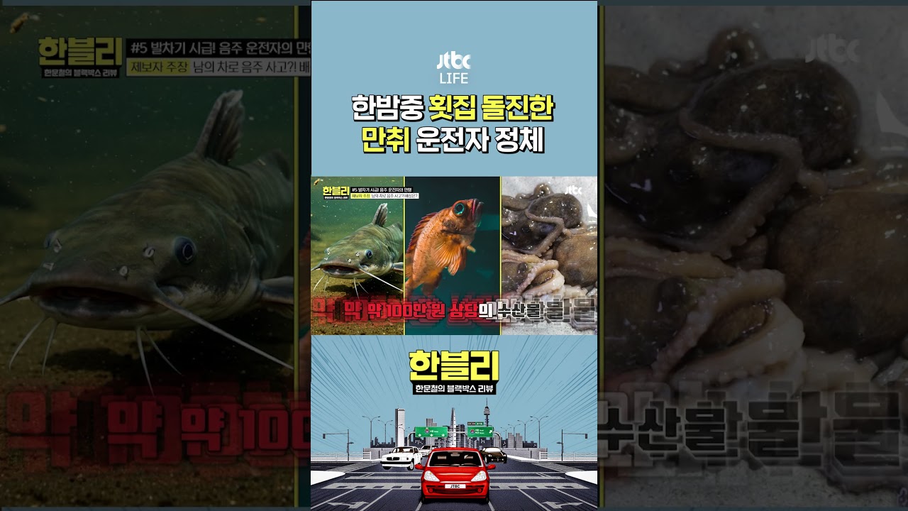 불법체류자의 음주운전 #한문철의블랙박스리뷰