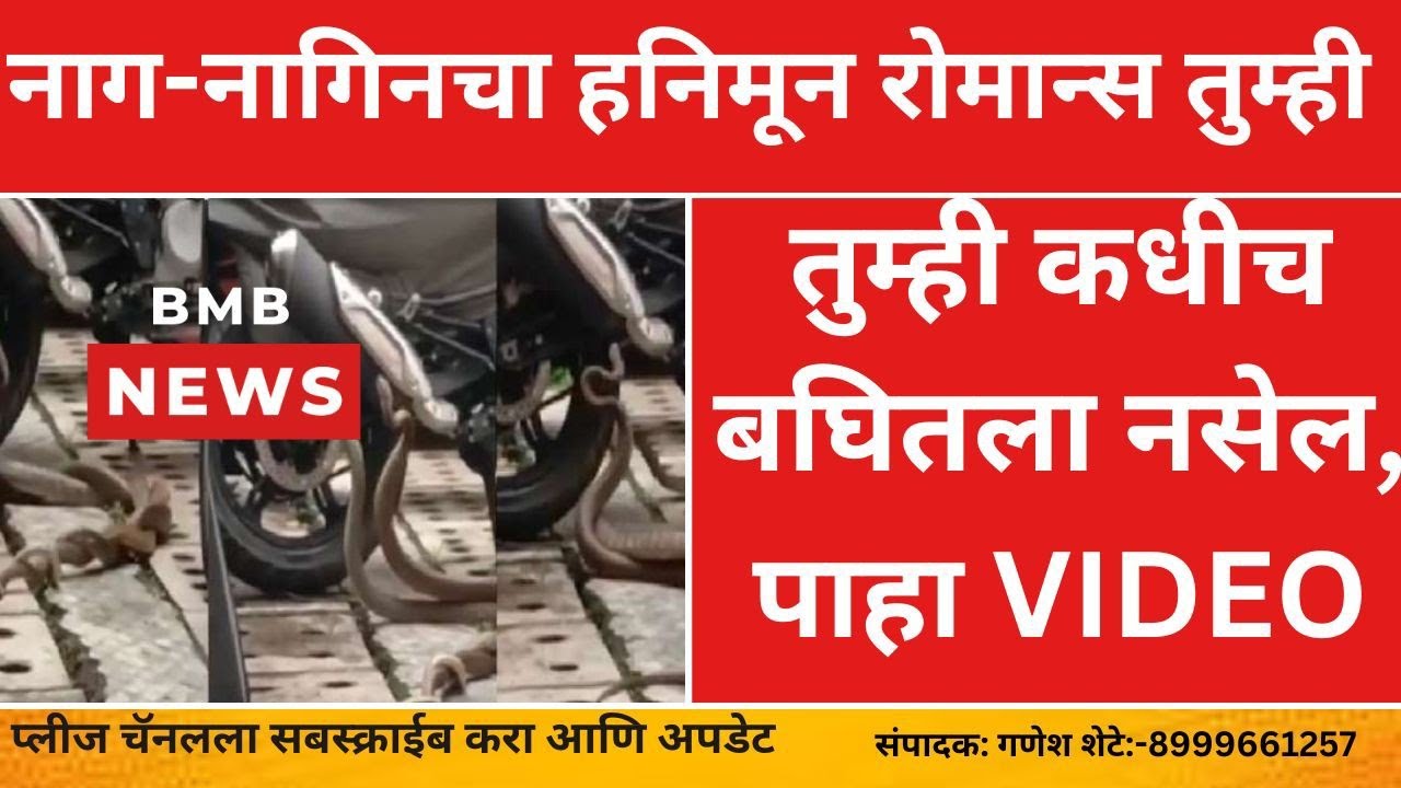 नाग-नागिनचा हनिमून रोमान्स तुम्ही कधीच बघितला नसेल, पाहा VIDEO