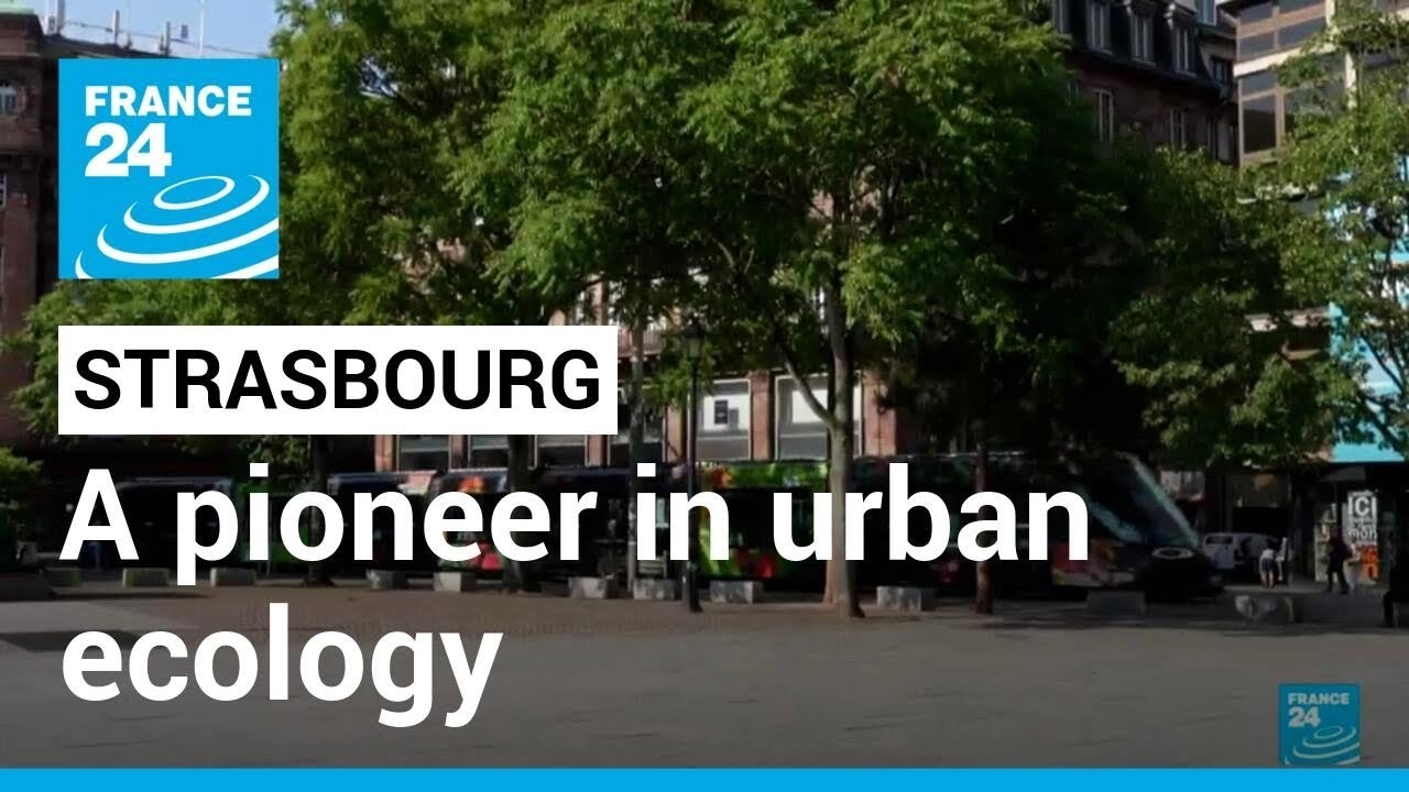 Putting nature at the heart of cities: Strasbourg, a pioneer in urban ecology • FRANCE 24 English