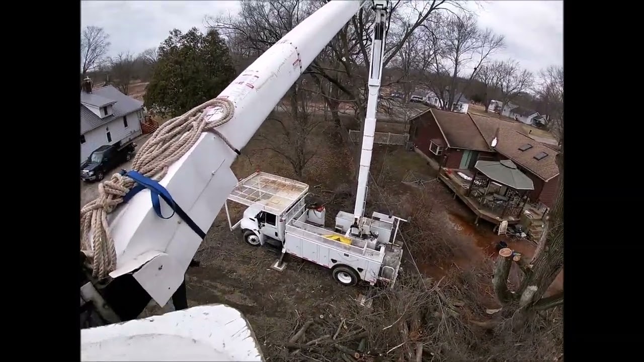 Bucket Truck Tree Removal and Felling with the 038 and New Bar