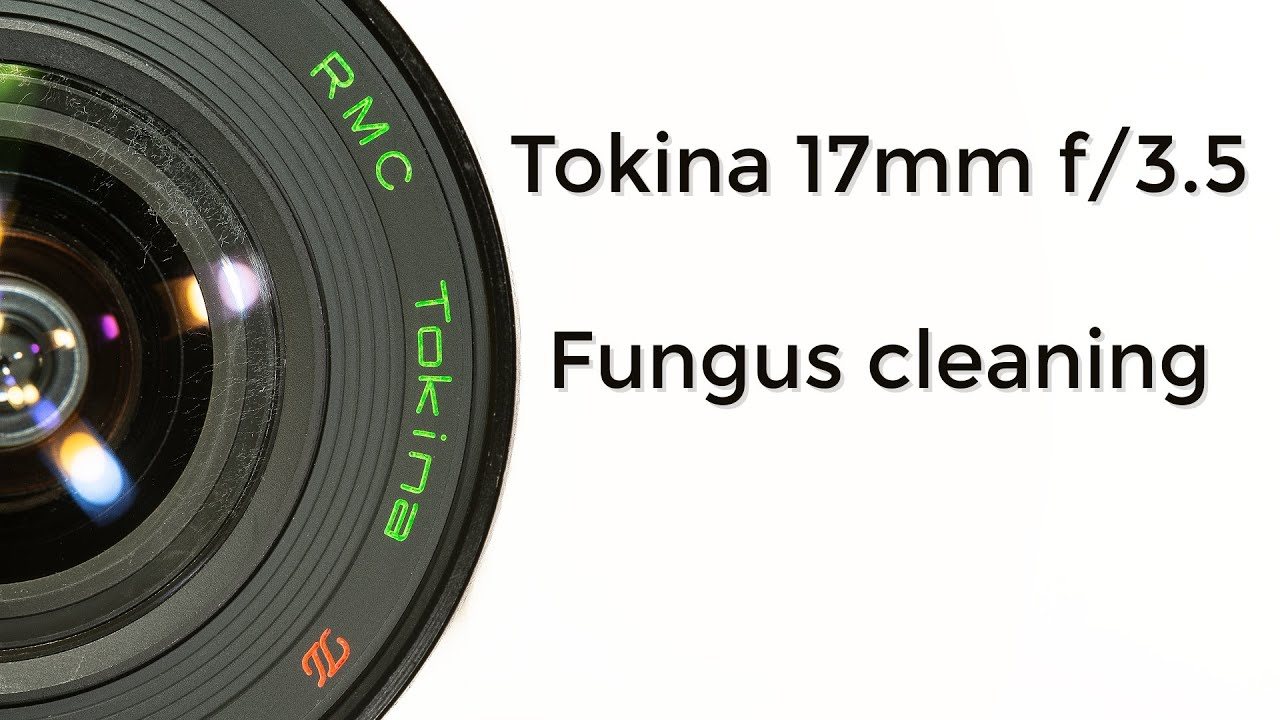 Tokina 17mm f/3.5 : Fungus cleaning