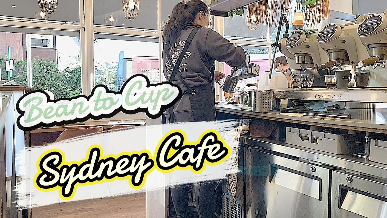BEAN TO CUP in Busy SYDNEY Beaches CAFE: Behind the Beans Vlog | Best Australian Coffee Stop