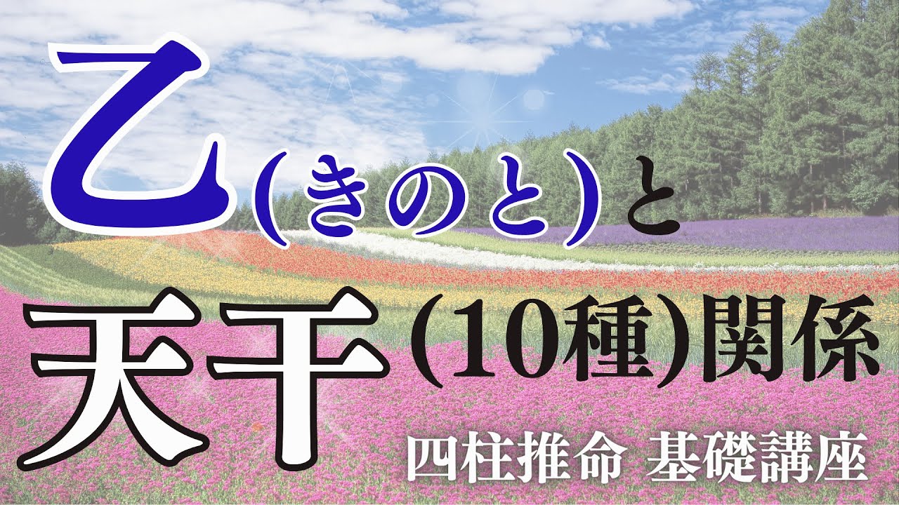 【四柱推命】乙(きのと)×全ての天干(10種類)との関係を解説!基礎講座
