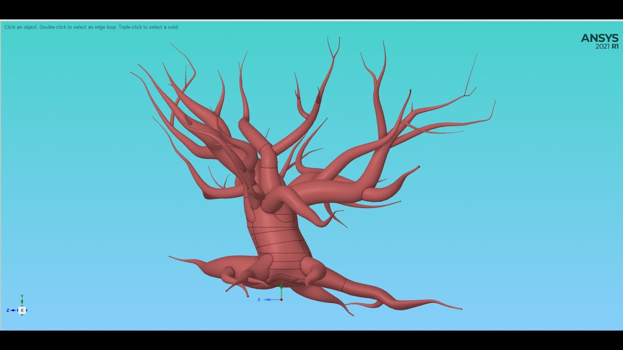 Maple tree