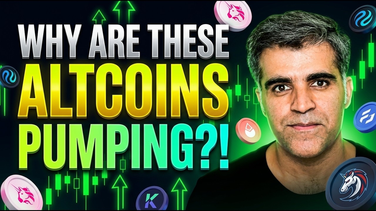Why Are These DeFi Altcoins Pumping Right Now?