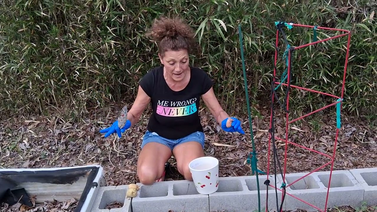 Can you  plant potatoes? YES! 