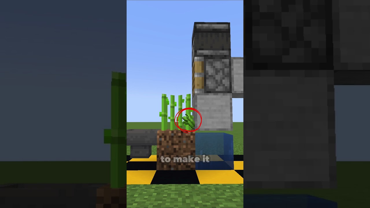 Взлом Sugarcane в Minecraft 1.21 #minecraft #minecraftshorts