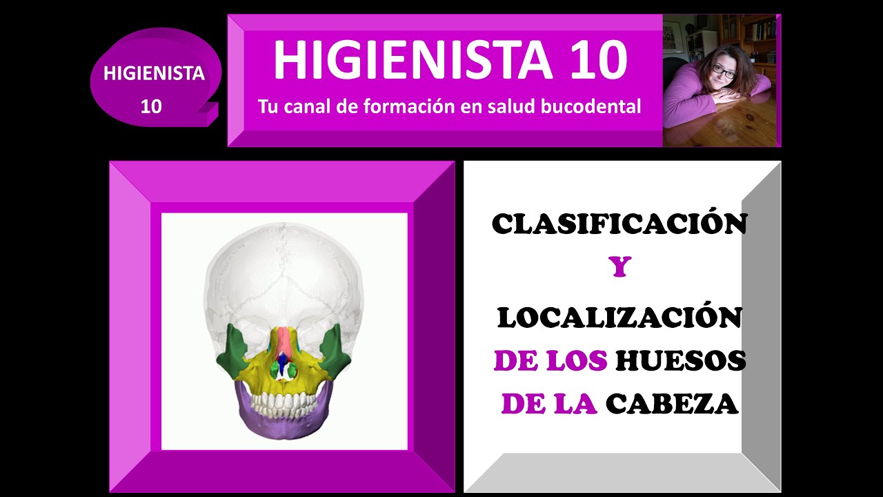 CLASIFICACI&Oacute;N Y LOCALIZACI&Oacute;N DE LOS HUESOS DE LA CABEZA. LA ANATOM&Iacute;A NUNCA FUE TAN FACIL