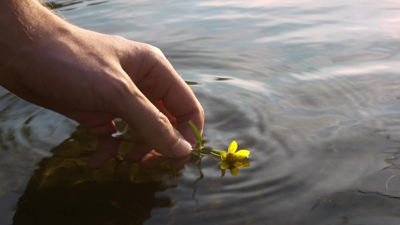 Lost Poems