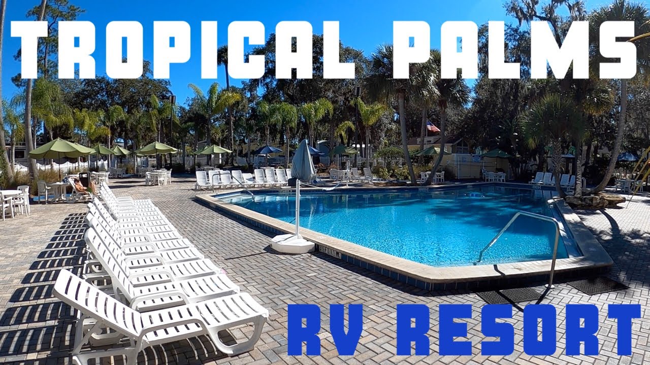 Экскурсия с гидом по кемпингу Tropical Palms RV Resort!