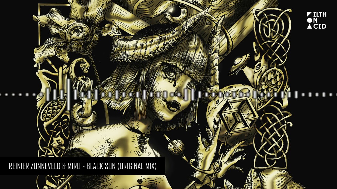 Reinier Zonneveld & Miro - Black Sun (Original Mix)