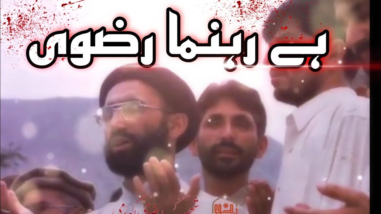 Hai rehbar o rahnuma Rizvi ( Shaheed Zia ud din rizvi)