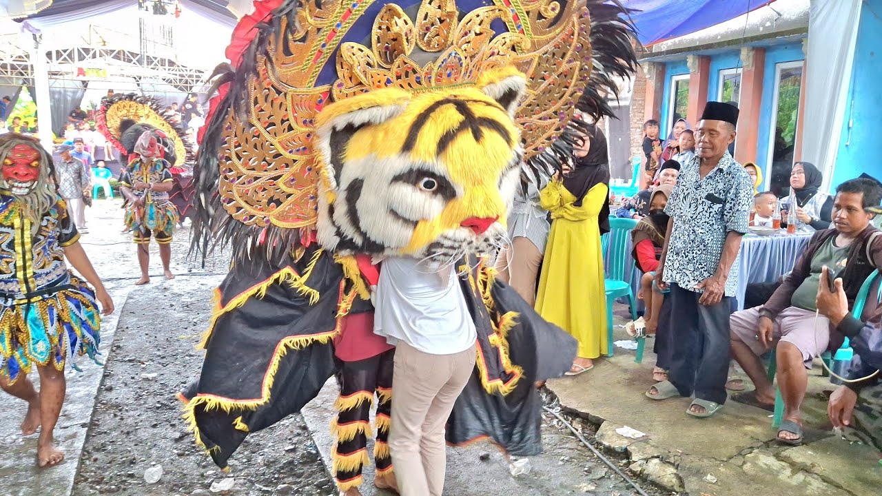 Cewek cantik dimakan barongan