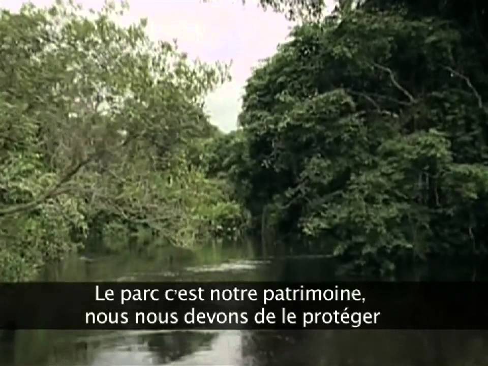 Pourquoi le Parc de la Salonga?
