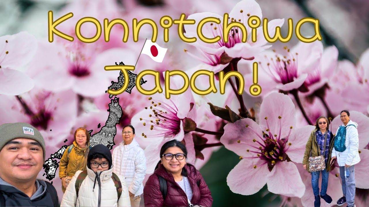 Sakura Season (Cherry Blossom) Travel to Japan 2024 Day1