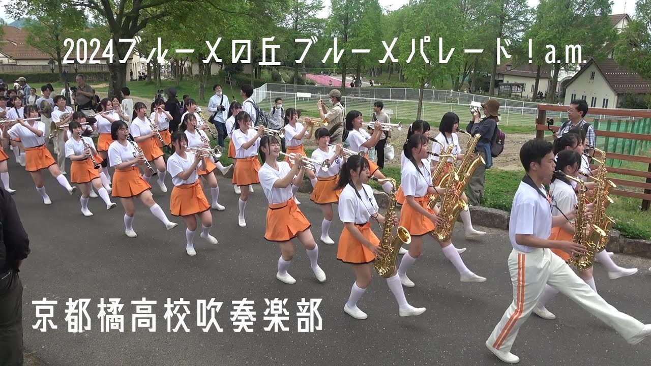 🍊京都橘高校吹奏楽部 🍊121期 2024 ブルーメの丘 春の大行進！ブルーメパレード！a.m. Kyoto Tachibana SHS Band 4k