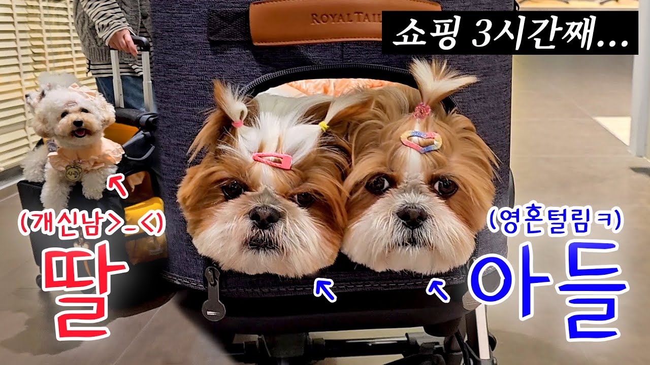 엄마 쇼핑 따라간 아들의 최후...ㅋㅋㅋ