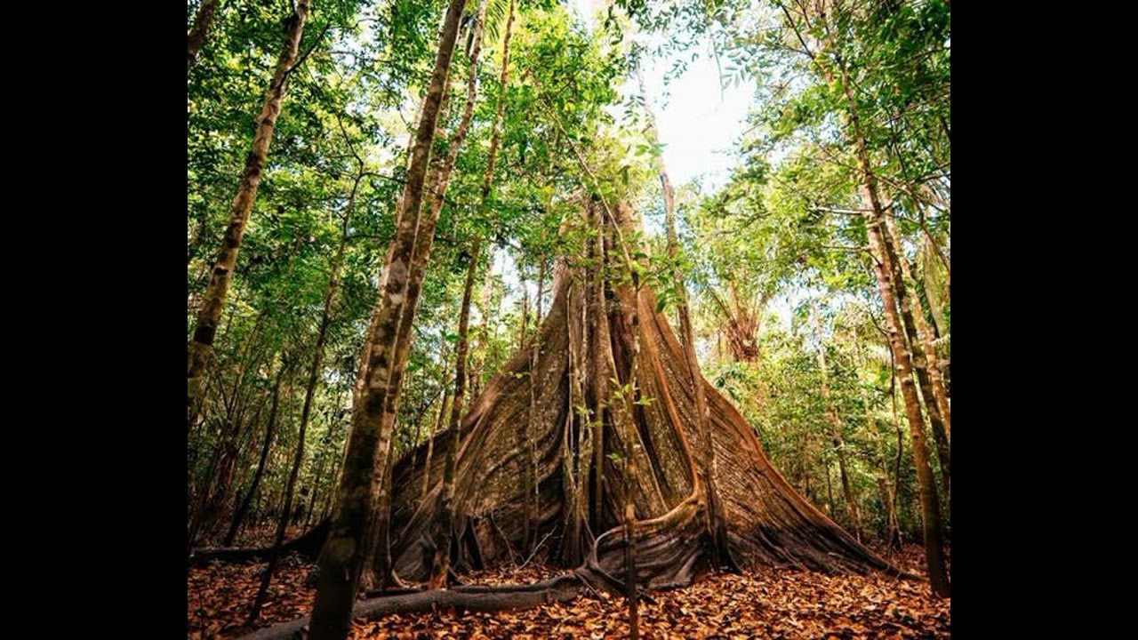 African Urban Legends Finale