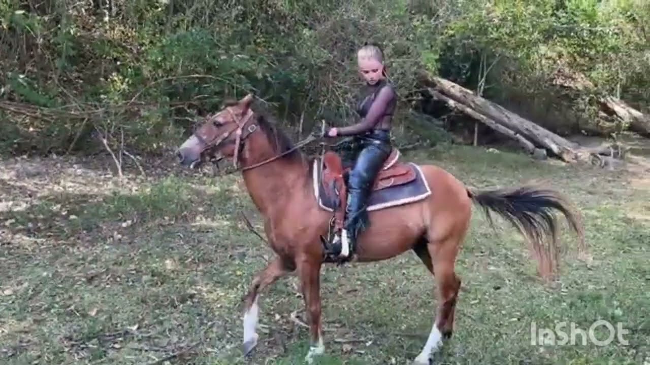 Cruel Riding Video. Cruel Horse Riding. Horse Riding. Whipping Riding Video. Hard horse Riding 