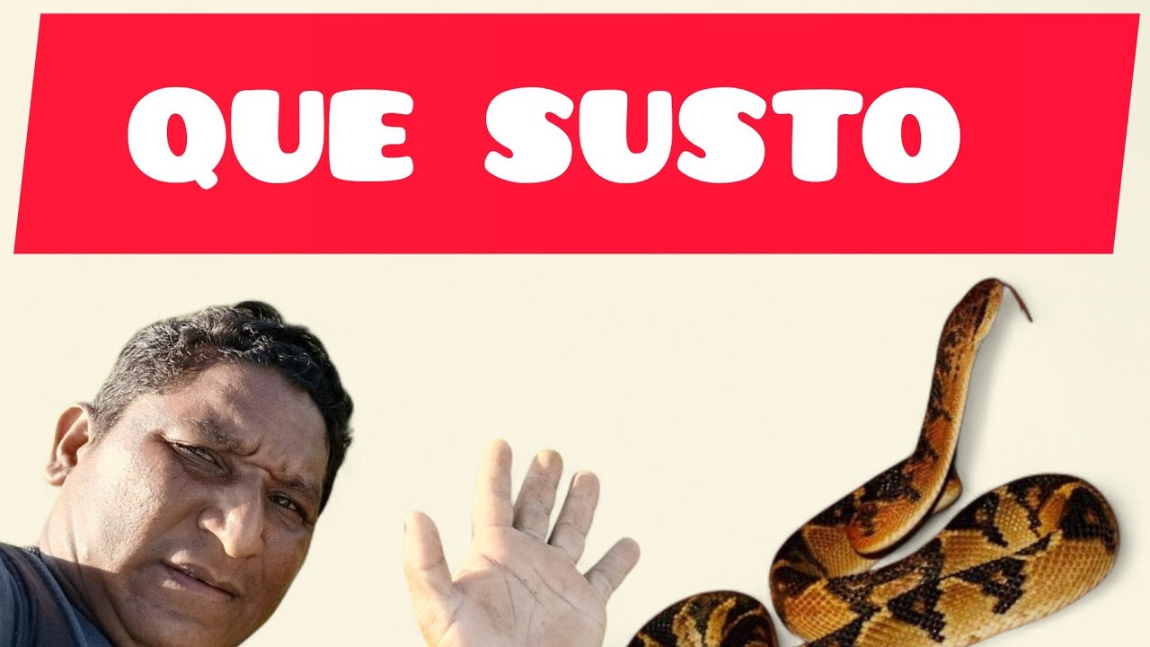 SÓ PASSANDO PRA AGRADECER A TODOS VOCÊS PELA PREOCUPAÇÃO #gratidão 