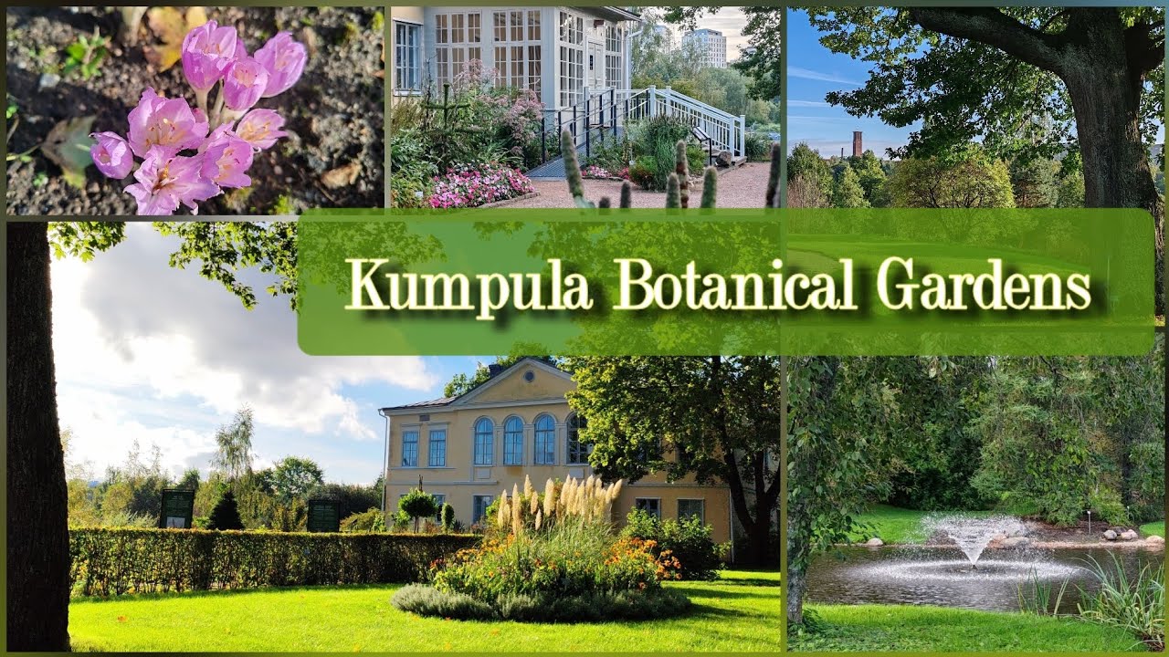 Kumpulan kasvitieteellinen puutarha