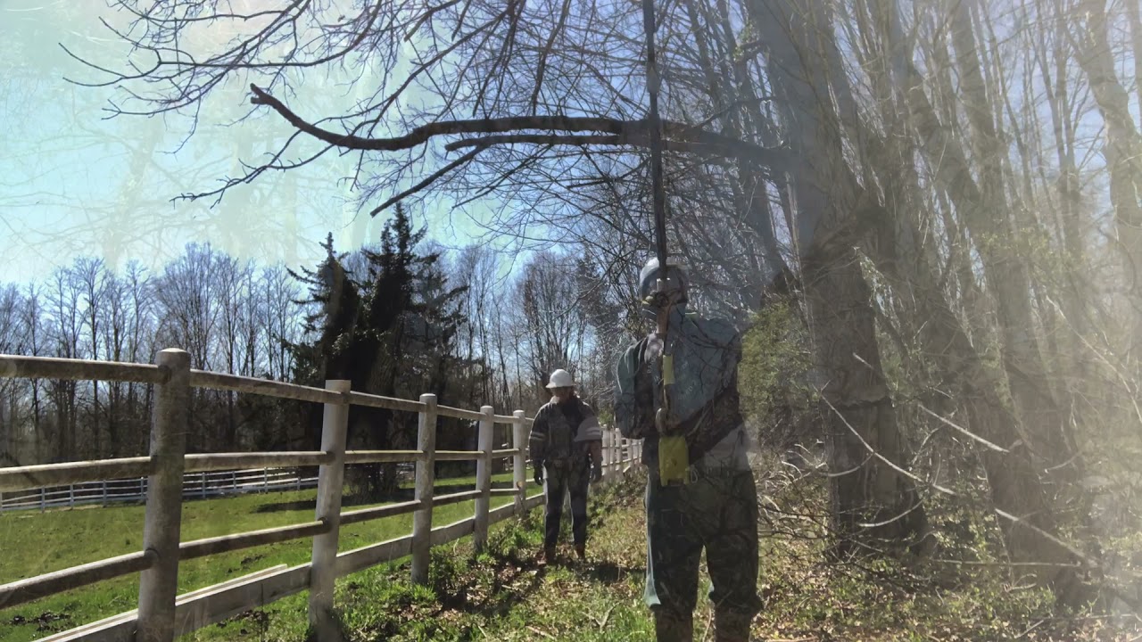Brush clearing using the Billy Goat brush hog from Home Depot