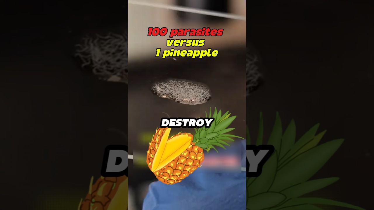 100 Parasites Versus 1 Pineapple
