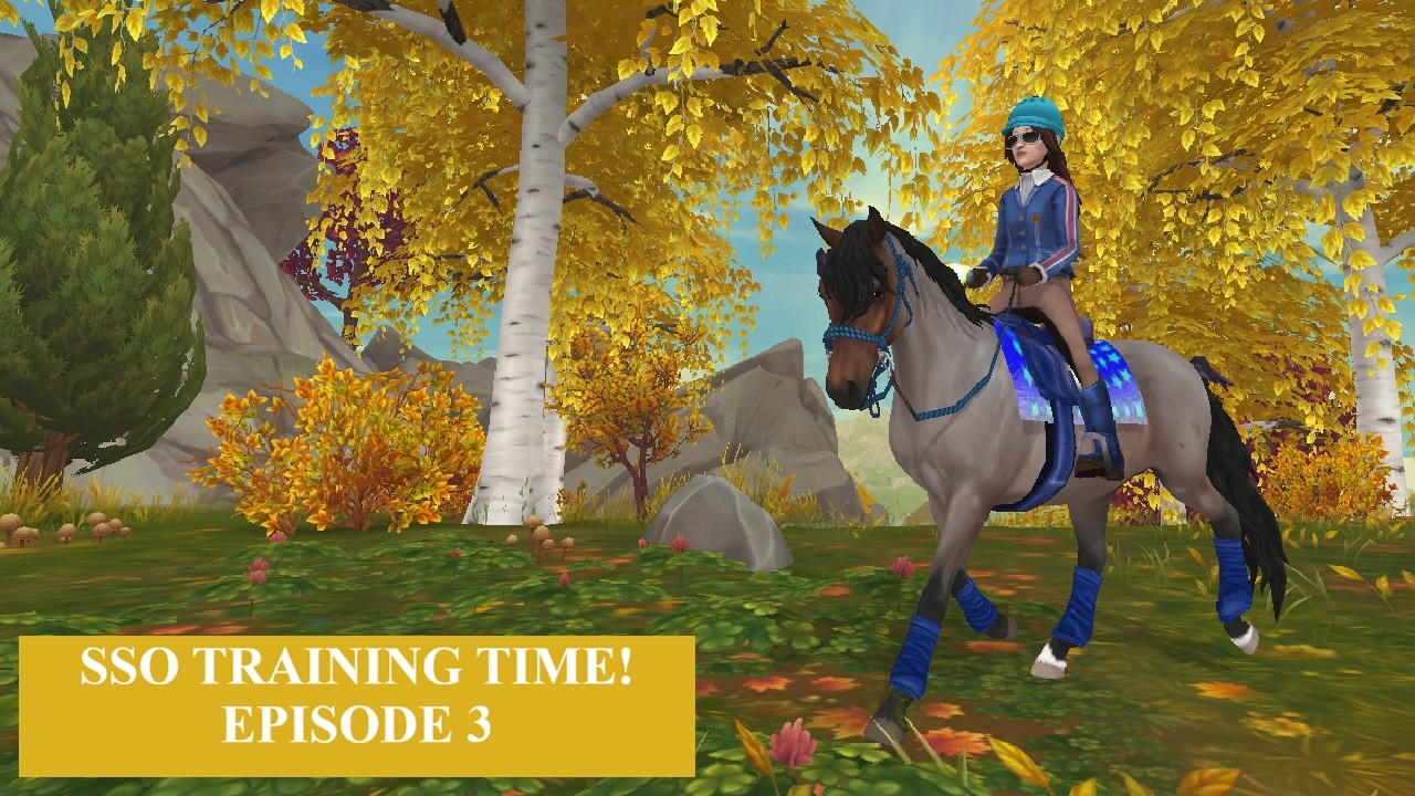 SSO Training Time Ep. 3