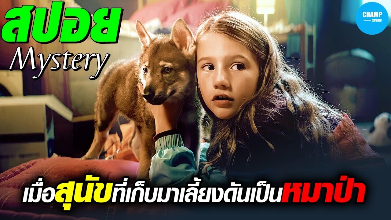 เมื่อสุนัขที่เก็บมาเลี้ยงดันเป็นหมาป่า  #สปอยหนัง  Vicky and Her Mystery