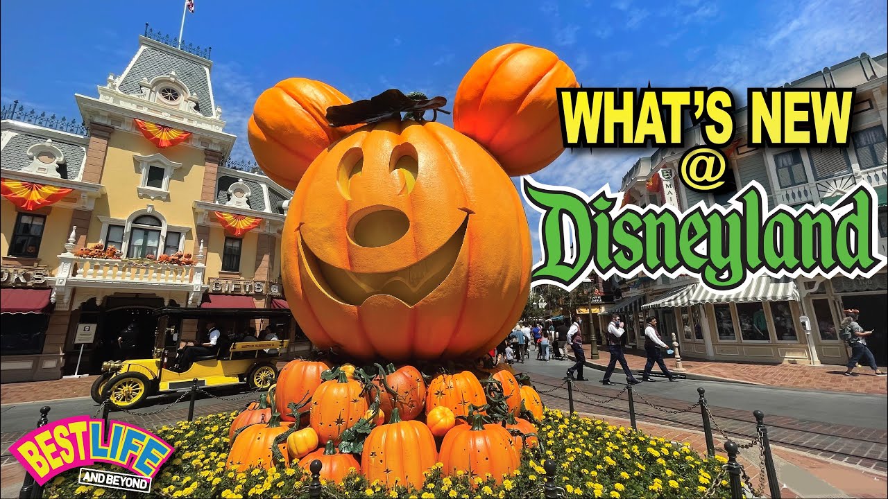 Giant Mickey Pumpkin Returns to Disneyland! More Halloweentime Decor, New Merch & Secret Menu Drink!