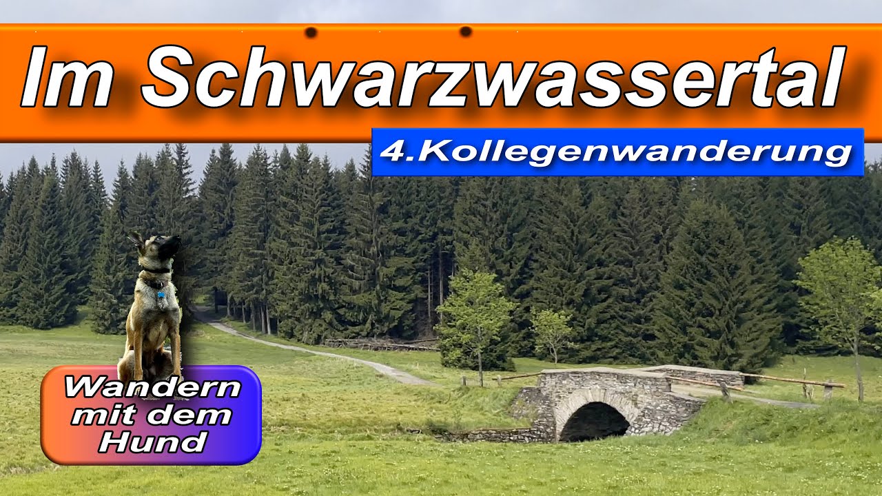 Im Tal der Schwarzen Pockau. Die 4. Kollegenwanderung führt entlang dem Grünen Graben nach Kühnhaide