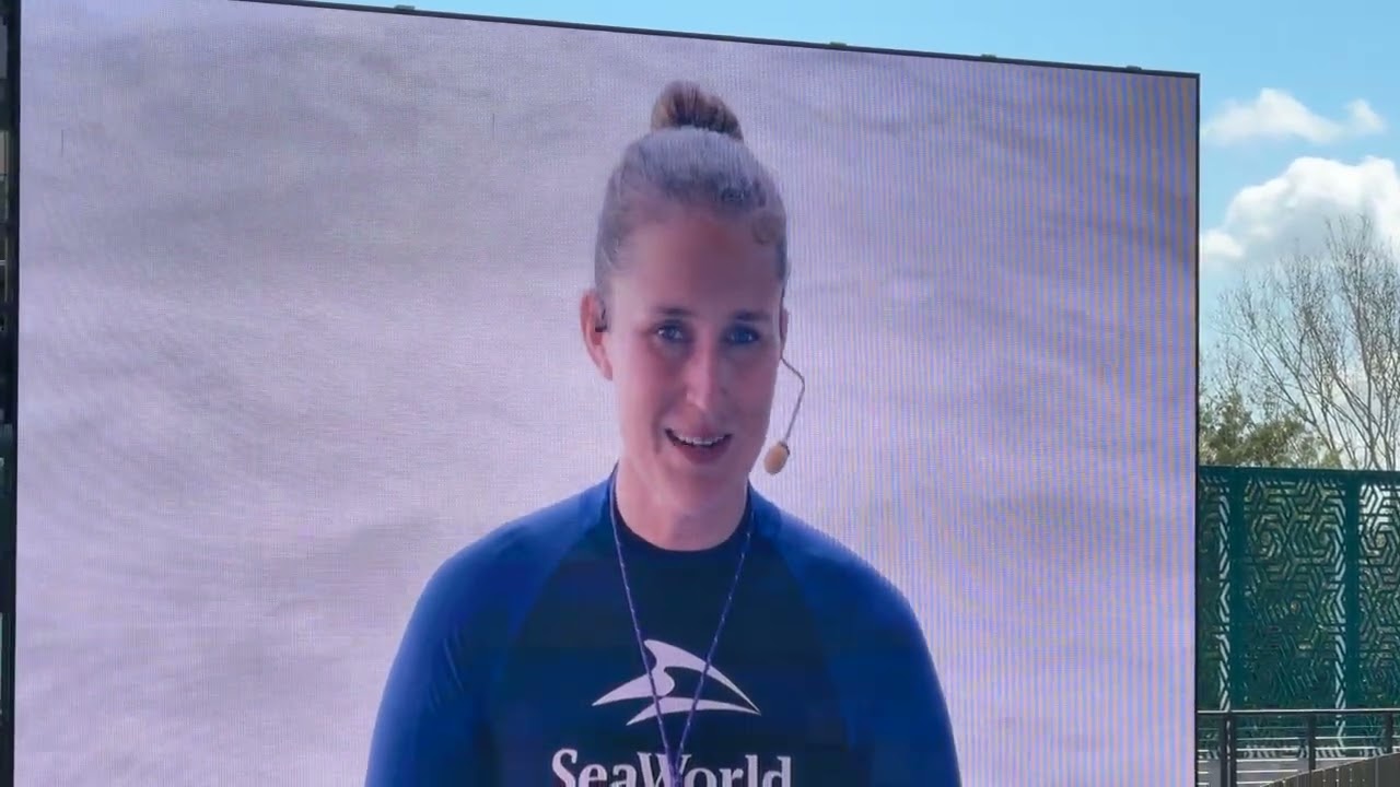SeaWorld Orlando Orca Show